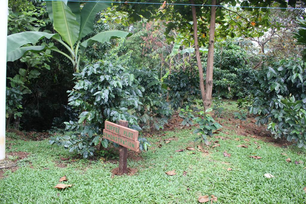 Coffee Mountain Inn ซานตาเฟ ภายนอก รูปภาพ