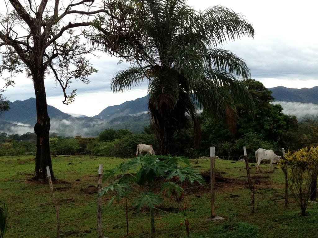 Coffee Mountain Inn ซานตาเฟ ภายนอก รูปภาพ